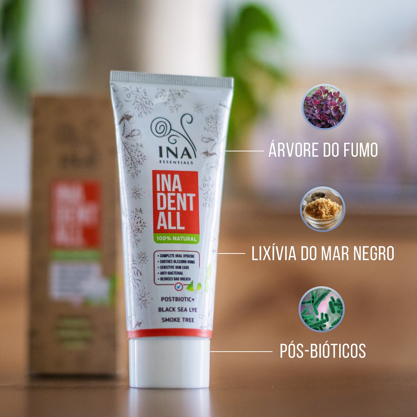 Pasta de Dentes Natural sem Flúor com Árvore do fumo, Lixívia do Mar Negro e Pós-biótico - Ina Dent-All