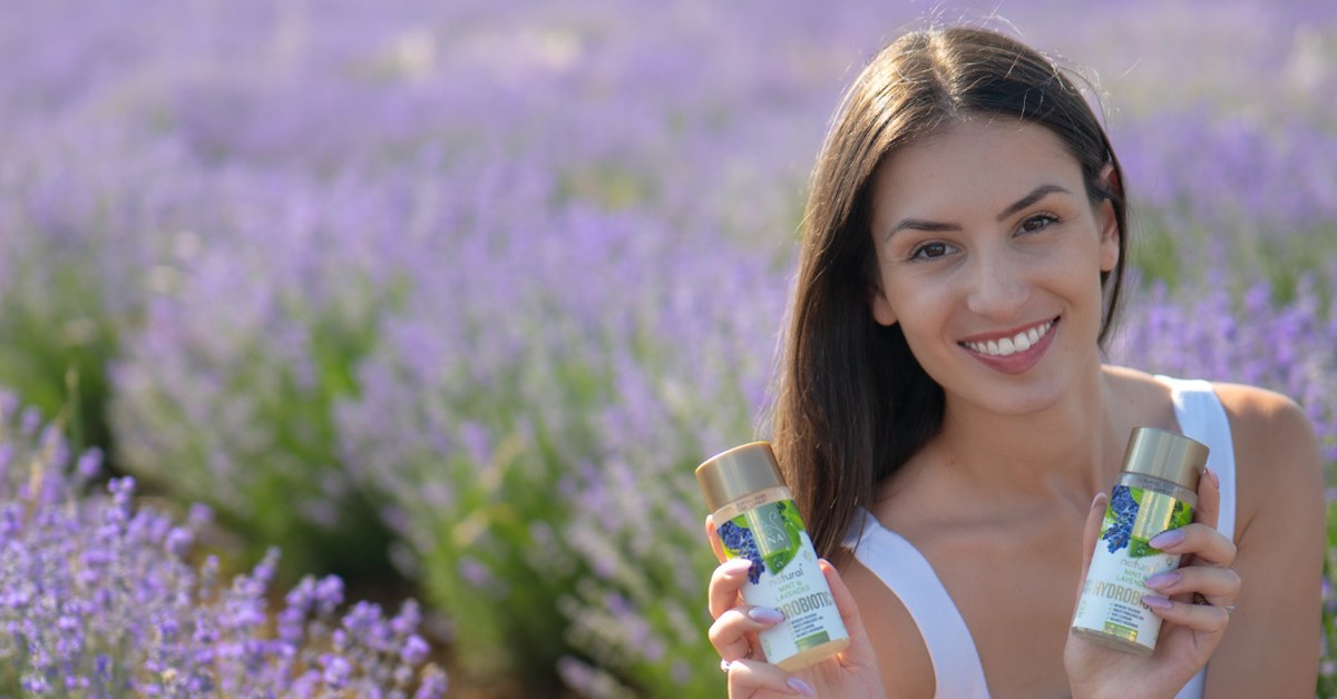 Lavanda Lavandula angustifolia e Hydrobiotic Lavanda e Menta no campo de lavanda