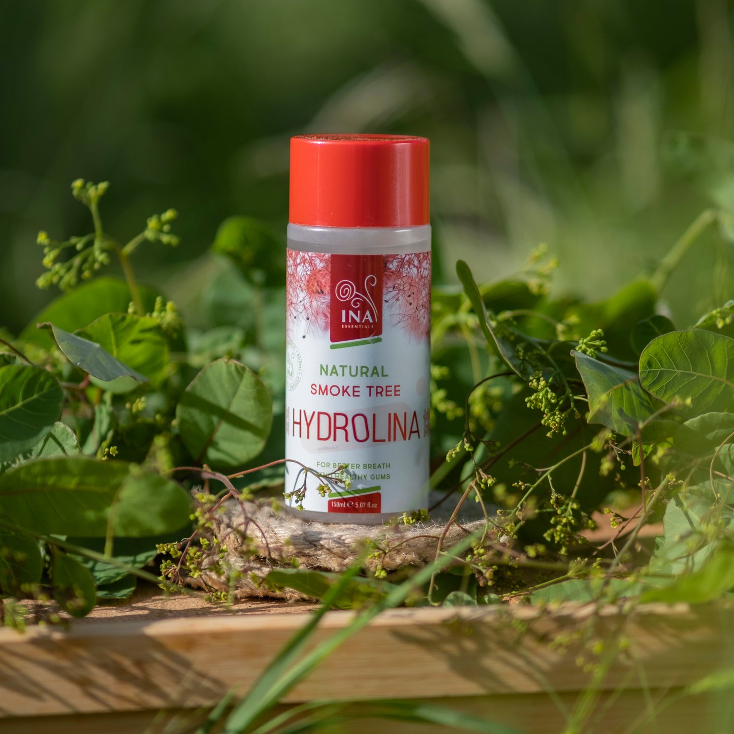 Colutório de Árvore do Fumo Selvagem - Hydrolina - para Gengiva inflamada e Mau hálito